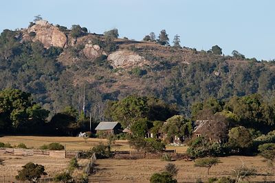 © Michel Laplace-Toulouse - Lolldaiga - Plateau du Laikipia - Kenya Lolldaiga - Plateau du Laikipia - Kenya