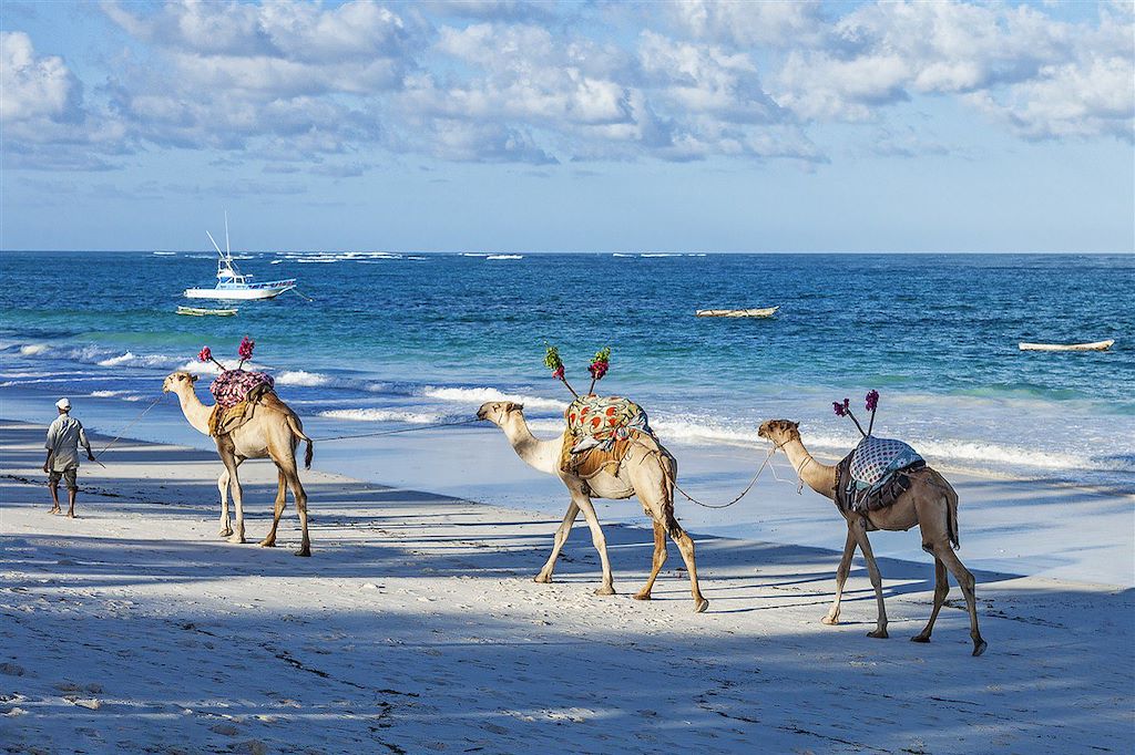 Image Trek Kenya - Ascension mont Kenya - Plage Tiwi Beach