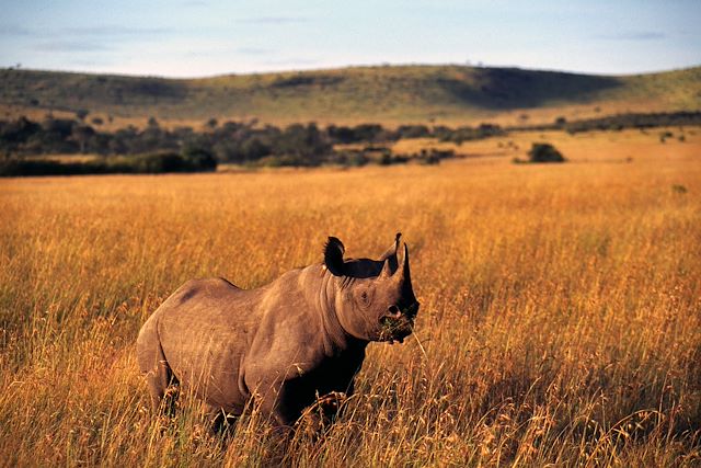 Trek : Mont Kenya, safaris et plages : l’Afrique en grand Voyage Mont Kenya, safaris et plages : l’Afrique en grand