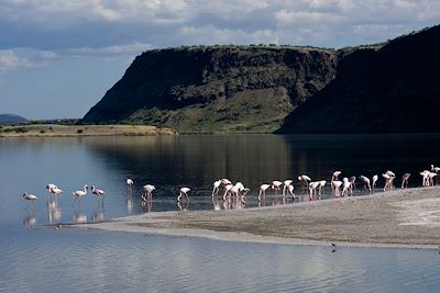 © Michel Laplace-Toulouse - Lac Magadi - Vallée du Rift - Vallée du Rift - Kenya Lac Magadi - Vallée du Rift - Vallée du Rift - Kenya