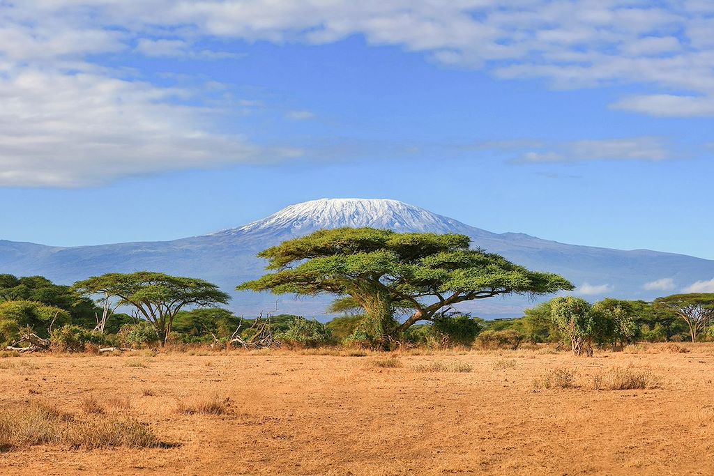 Image Safari en famille au Kenya, Amboseli, Rift Valley et océan Indien