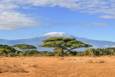 Le Kilimandjaro, vu depuis le Kenya