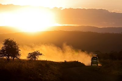 Safari - Lac Nakuru - Kenya