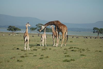 Sanctuaire de Crescent Island - Parc du Lac Naivasha - Kenya