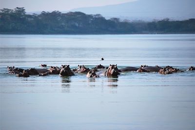 Réserve naturelle de la presqu'île de Crescent island - Kenya
