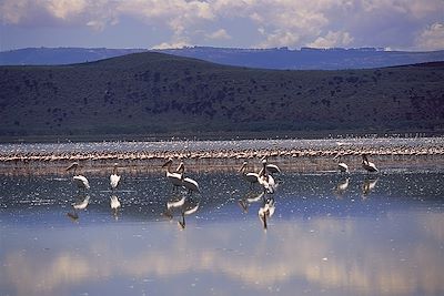 Parc du Lac Naivasha - Kenya