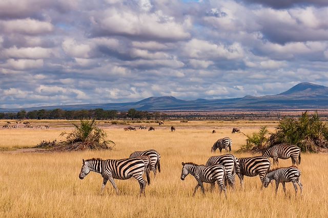 Safari Kenya Masaï Mara
