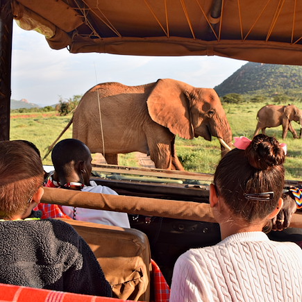 Safari Kenya Masaï Mara