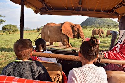 Kenya en famille, des grands lacs à l’océan Indien