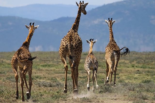 Randonnée Kenya Masaï Mara