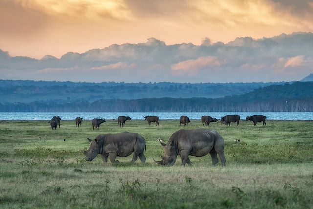 Safari Kenya Masaï Mara