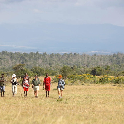 Safari Kenya