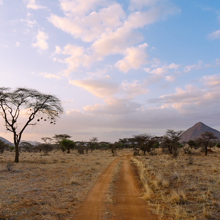 Safari Kenya