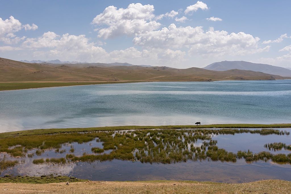 Image Trek Song Kul - Randonnée Tien Shan - Rencontres nomades