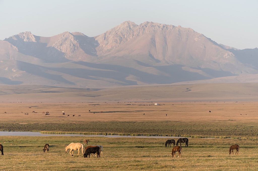 Image Trek Song Kul - Randonnée Tien Shan - Rencontres nomades