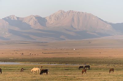 Lac Song Kul - Kirghizistan