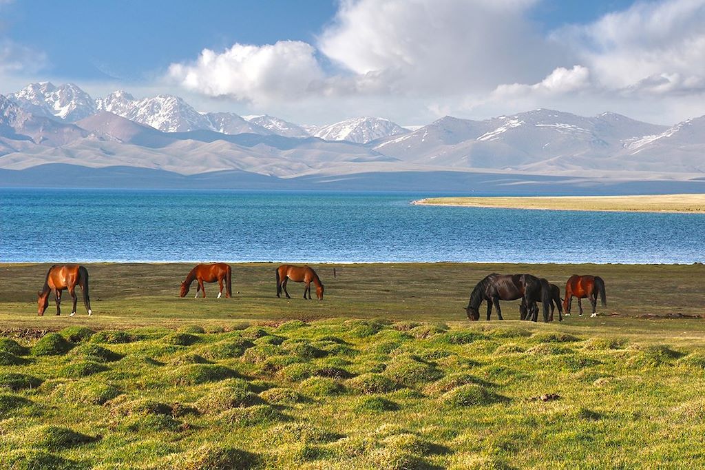 Image Trek Song Kul - Découverte Issyk Kul - Randonnée Jety Oguz
