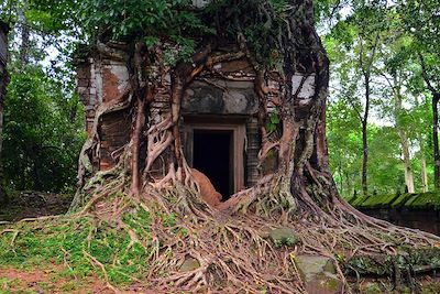 Beng Mealea - Angko - Cambodge