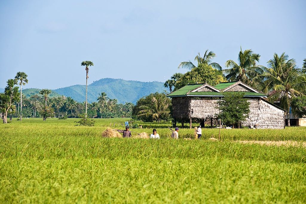 Image Site d'Angkor – Villages sur pilotis Tonlé Sap - Jungle Cardamomes