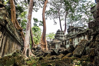 Temple d'Angkor - Cambodge