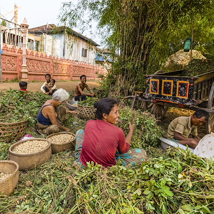 Découverte Cambodge