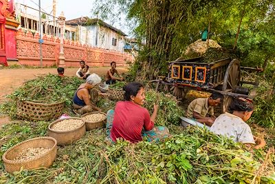Le village d'Angkor Ban, sur les rives du Mékong, province de Battambang - Cambodge