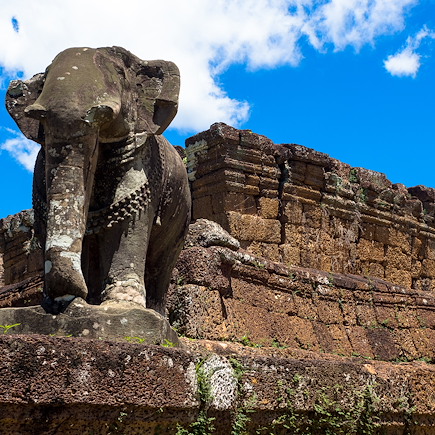Multi-activités Cambodge
