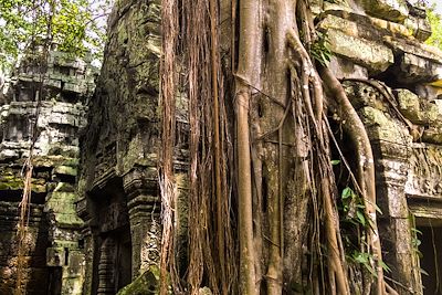 Temple d'Angkor - Cambodge