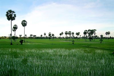 Angkor - Cambodge