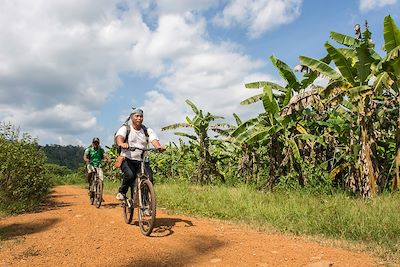 Découvrir la région des Cardamomes à vélo - Cambodge
