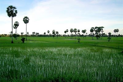 © Marc Franiatte - Angkor - Cambodge Angkor - Cambodge