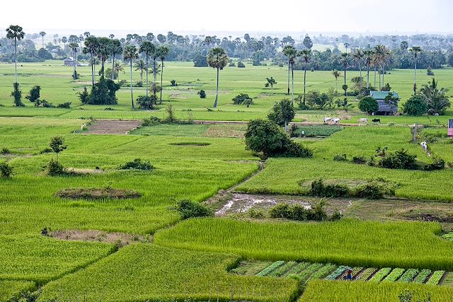 Forêts, collines, rivières et lacs : Mondolkiri, Mékong et montagne sacrée d'Angkor Voyage Mondolkiri, Mékong et montagne sacrée d'Angkor