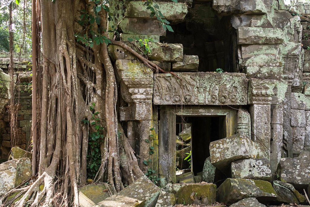 Image Lac Tonlé Sap - Rizières Battambang - Visite Temple Angkor Vat