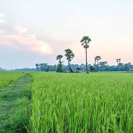 Au cœur du pays khmer