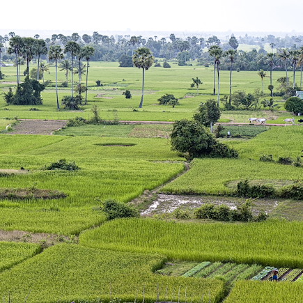 Randonnée Cambodge