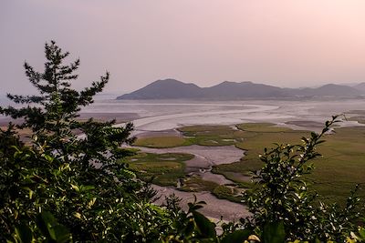 Baie de Suncheon - Corée du Sud