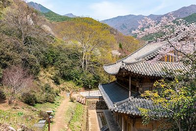 Temple de Hwahumsa - Corée du Sud 