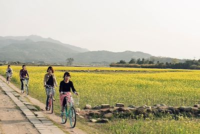 Gyeongju - Gyeongsangbuk-do - Corée du Sud