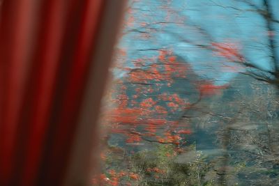 Ambiance vue du bus - Parc National - Seoraksan - Corée du Sud