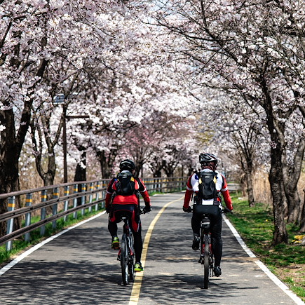 Vélo Corée du sud
