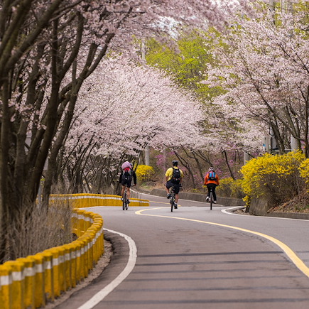 Vélo Corée du sud