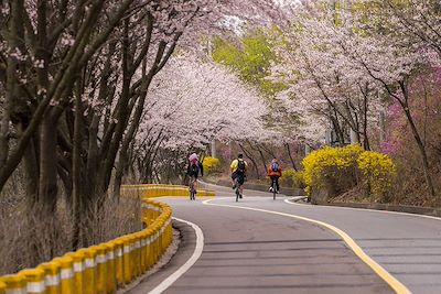 Corée du Sud en vélo électrique, de Séoul à Busan