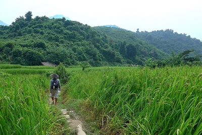 © Laetitia Pahud - Randonnée à travers les rizières - Région de Nong Khiaw et Muang Ngoi - Laos Randonnée à travers les rizières - Région de Nong Khiaw et Muang Ngoi - Laos