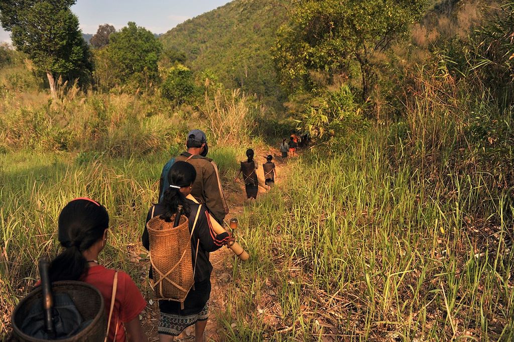 Voyage Objectif jungle laotienne avec Nicolas Vidal 3