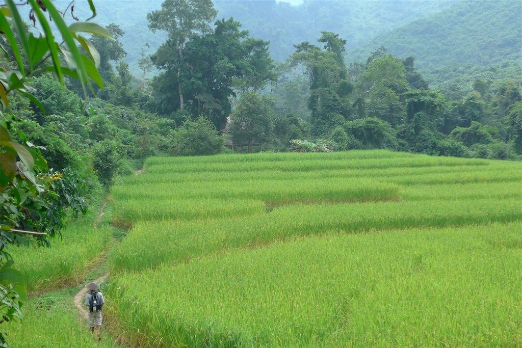 Image Trek Muang Ngoi – Rencontre village hmong – Visite temples Luang Prabang