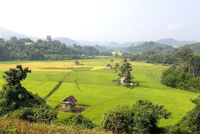 Voyage De Luang Prabang aux montagnes de Muong Ngoi  1