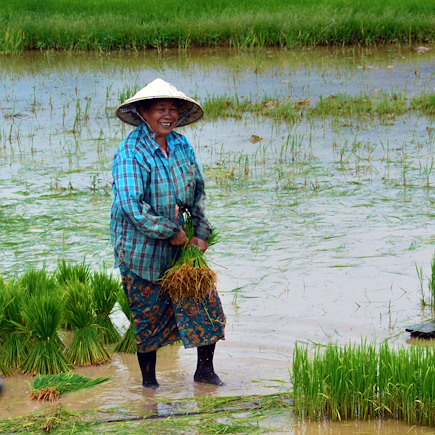 Découverte Laos