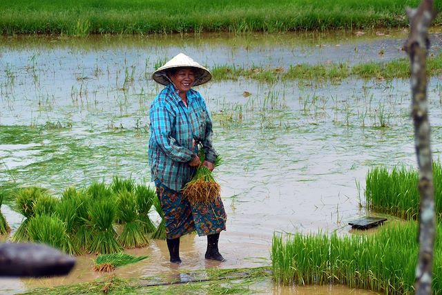 Découverte : L'intégrale du Laos Voyage L'intégrale du Laos