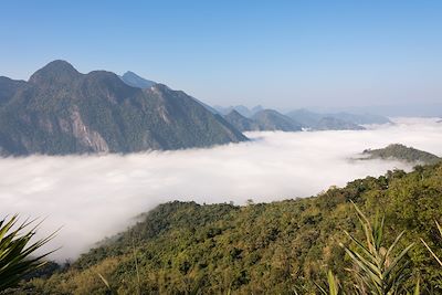 Région de Muang Ngoi  - Laos