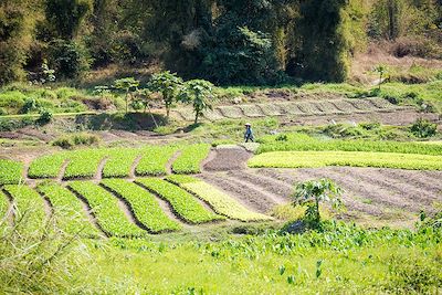 Voyage Balade laotienne 3